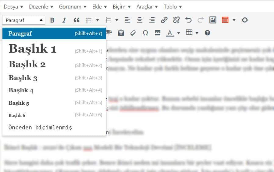 başlık wordpress örnek
