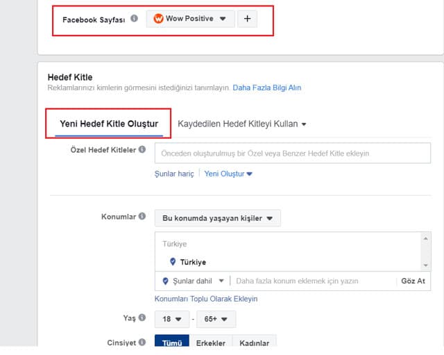 sayfa beğenme ve reklamlar
