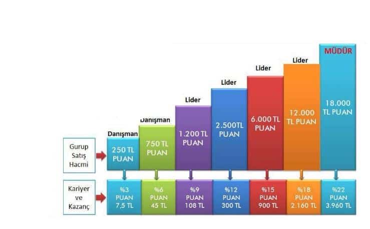 farmasi lider ve kazanma tablosu